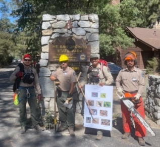 foresty workers